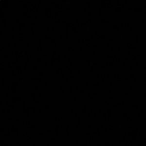 Meet your Posher, Preslie